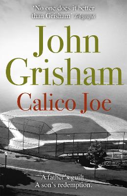 Calico Joe: The unforgettable family drama from the number 1 Sunday