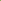 Animal Actions: Waddle Like a Duck