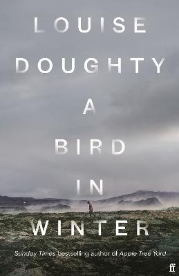 A Bird in Winter: 'Nail-bitingly tense and compelling' Paula Hawkins