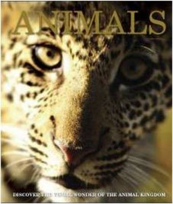 Animal Encyclopedia