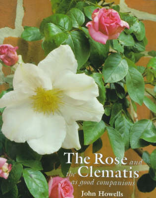 Rose and the Clematis as Good Companions