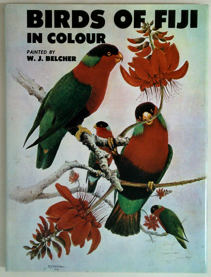 Birds Of Fiji In Colour