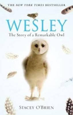 Wesley: The Story Of A Remarkable Owl