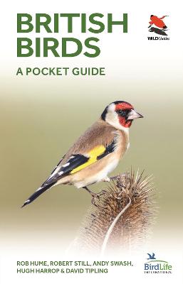 British and Irish Birds: A Pocket Guide