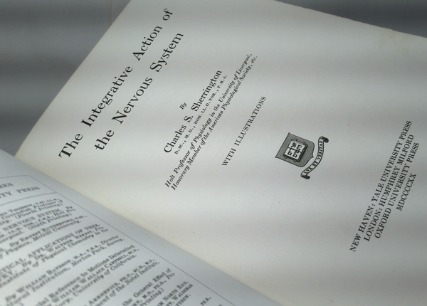 The Integrative Action Of The Nervous System
