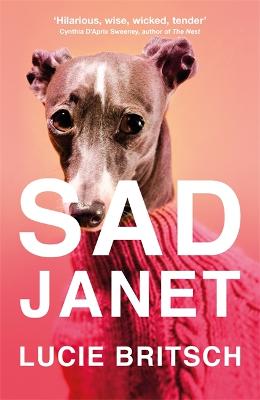 Sad Janet: A darkly hilarious novel about finding happiness in time