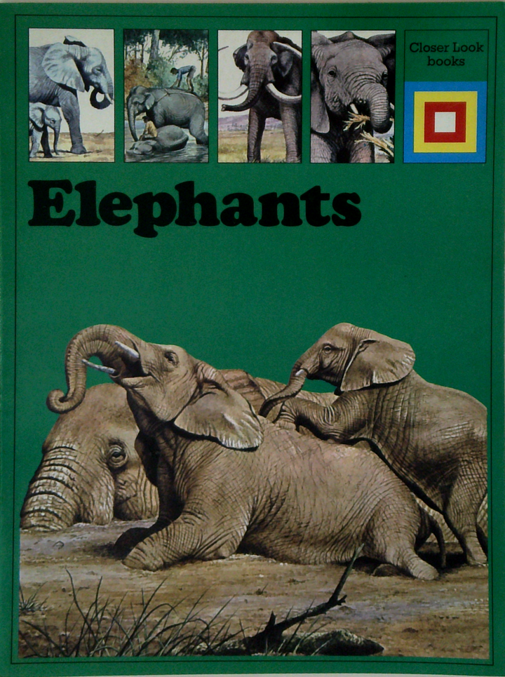 Elephants