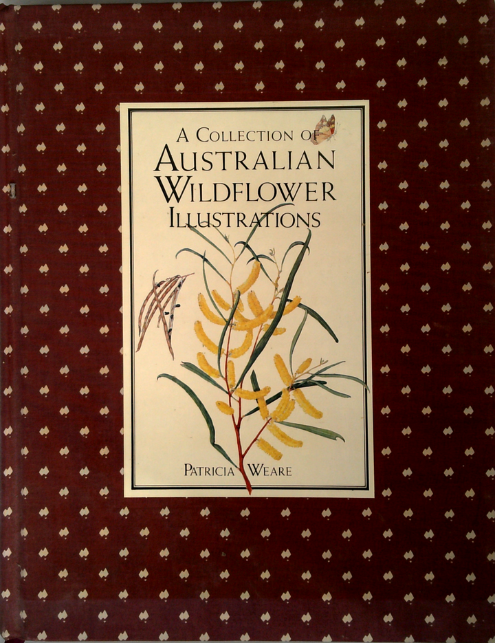 A Collection Of Botanical Illustrations