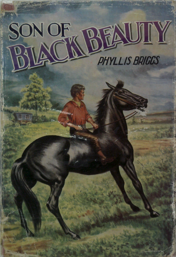 Son Of Black Beauty