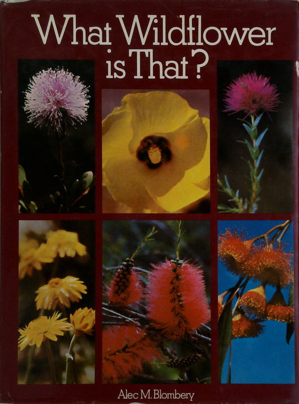What Wildflower Is That?