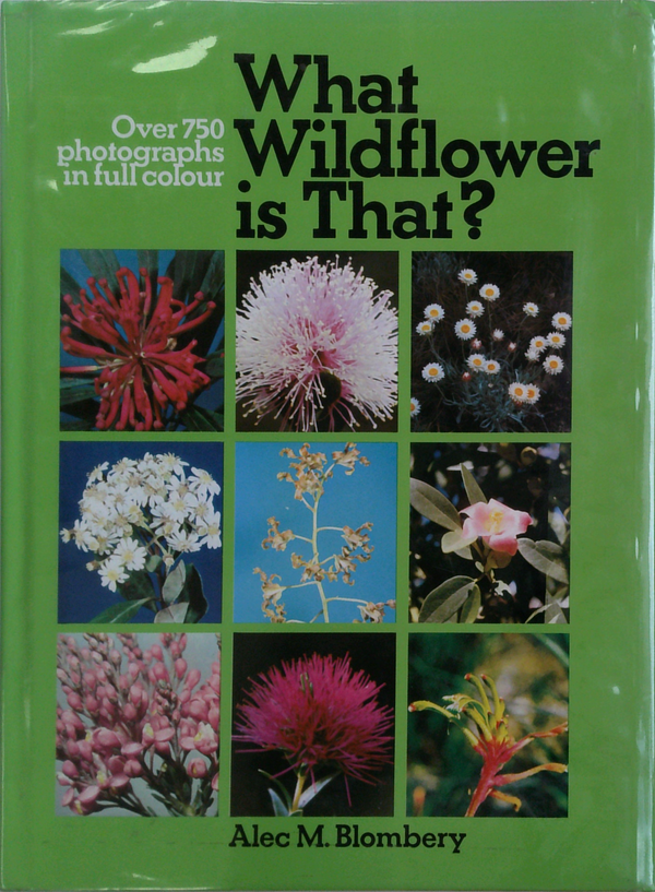 What Wildflower Is That?