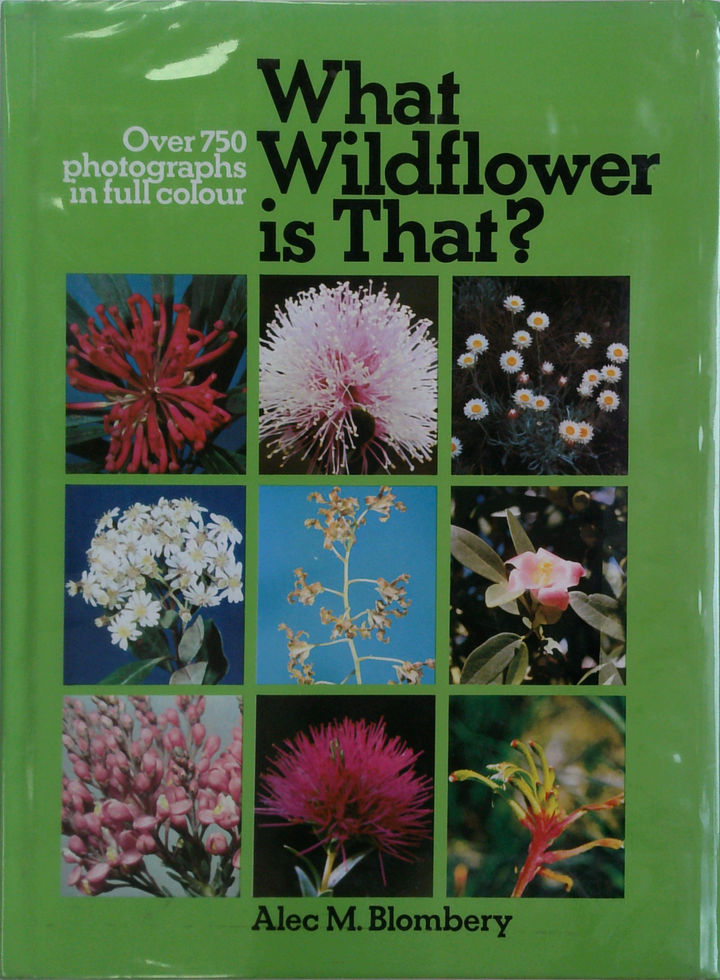 What Wildflower Is That?