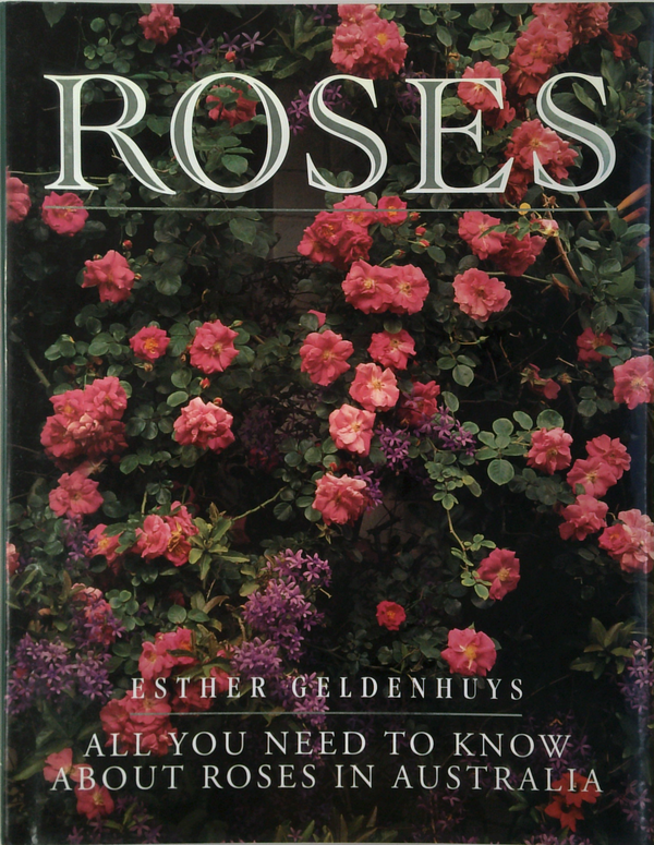 Roses: All You Need To Know About Roses In Australia