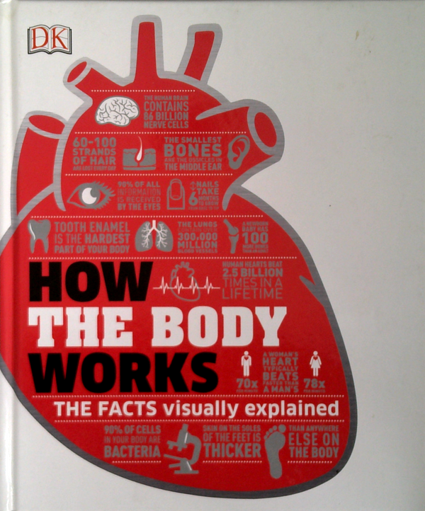 How The Body Works