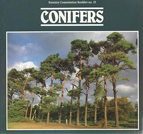 Conifers