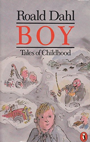 Boy: Tales of Childhood
