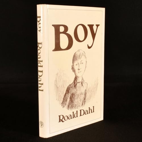 Boy: Tales Of Childhood: Autobiography