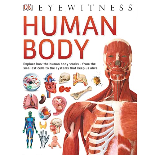 Human Body