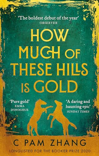 How Much of These Hills is Gold: 'A tale of two sisters during the gold rush ... beautifully written' The i, Best Books of the Year