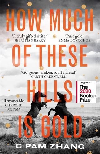 How Much of These Hills is Gold: Longlisted for the Booker Prize 2020