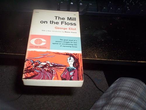 The Mill on the Floss