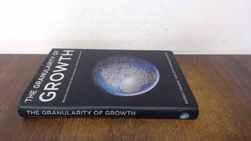 The Granularity of Growth: Making Choices That Drive Enduring Company Performance