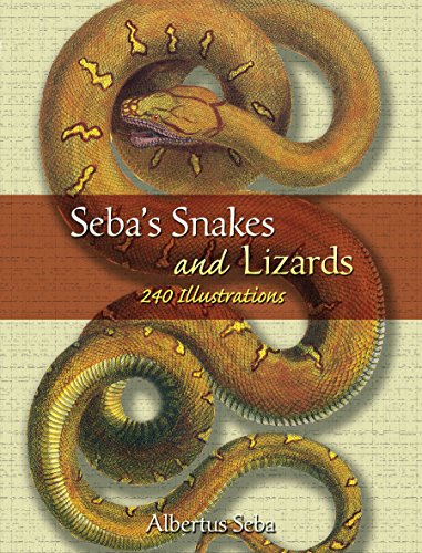 Seba's Snakes and Lizards