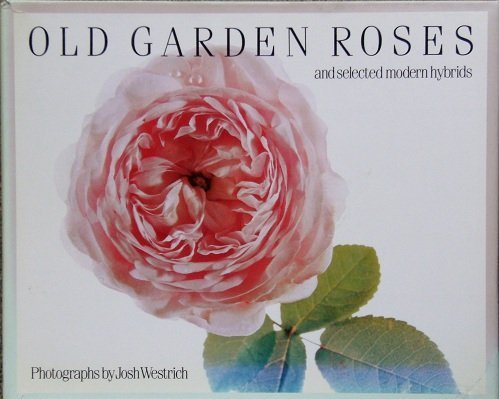 Old Garden Roses: And Selected Modern Hybrids
