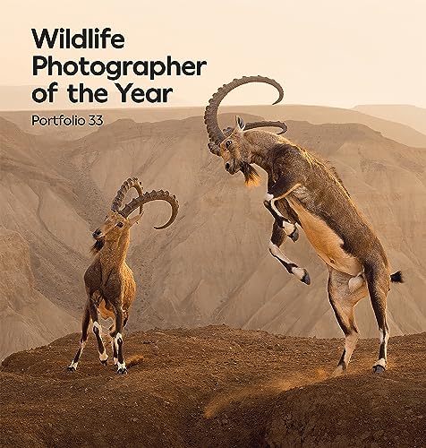 Wildlife Photographer of the Year: Portfolio 33