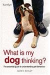 What is my Dog Thinking?: The essential guide to understanding your pet