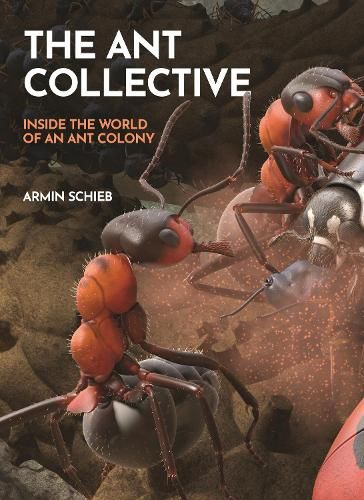 The Ant Collective: Inside the World of an Ant Colony