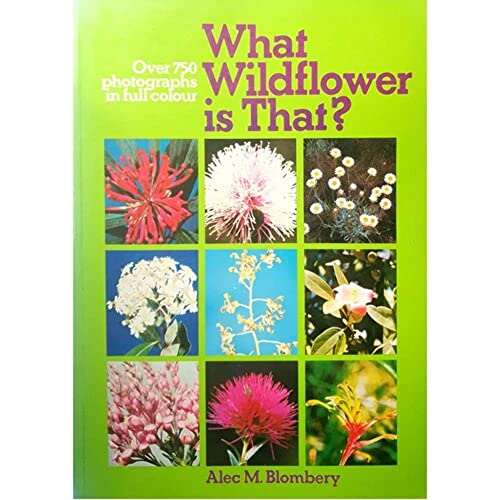 What Wildflower is That?