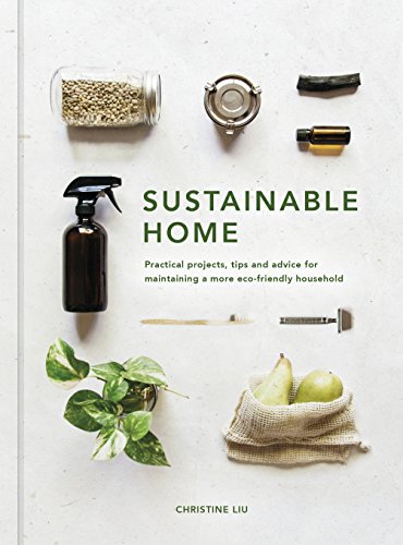 Sustainable Home: Practical projects, tips and advice for maintaining a more eco-friendly household: Volume 1