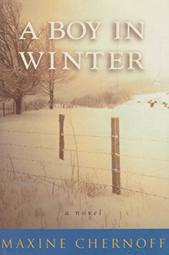 A Boy in Winter
