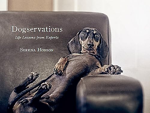 Dogservations: Life Lessons from Experts