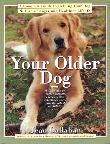 Your Older Dog