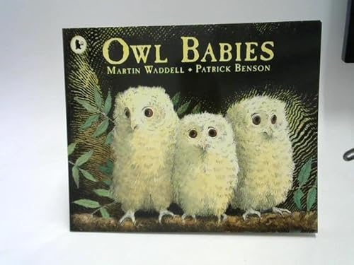 Owl Babies