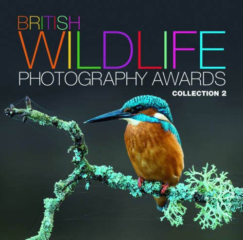 British Wildlife Photography Awards: Collection 2