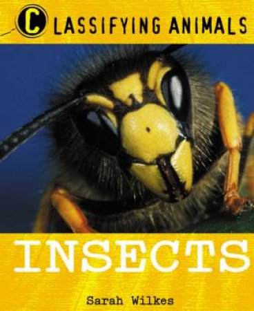 Insects