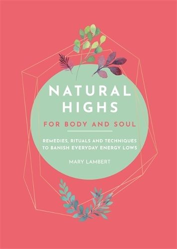 Natural Highs: 70 Instant Energizers for Body and Soul: Instant Energizers for Body and Soul. Remedies, Rituals and Techniques to Banish Everyday Energy Lows