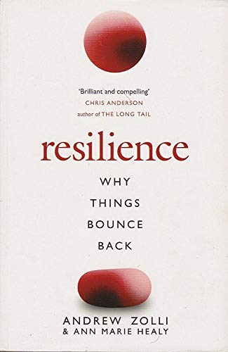 Resilience: Why Things Bounce Back