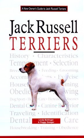 A New Owners Guide to Jack Russell Terriers