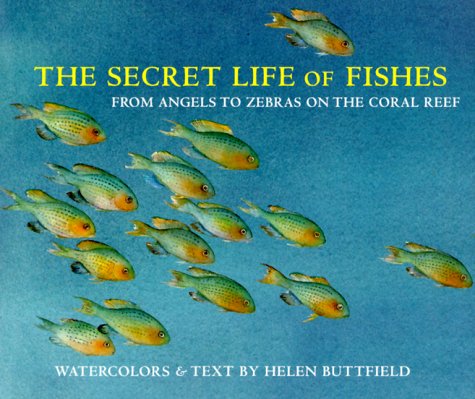 Secret Life of Fishes: From Angels to Zebras on the Coral Reef