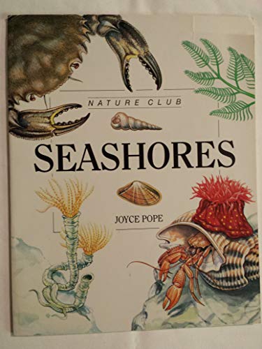 Seashores
