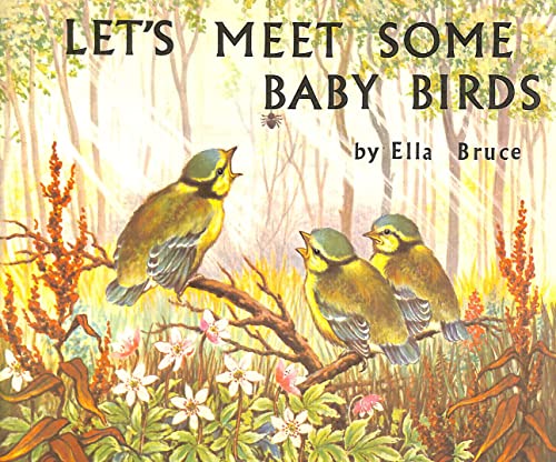 Let's Meet Some Baby Birds