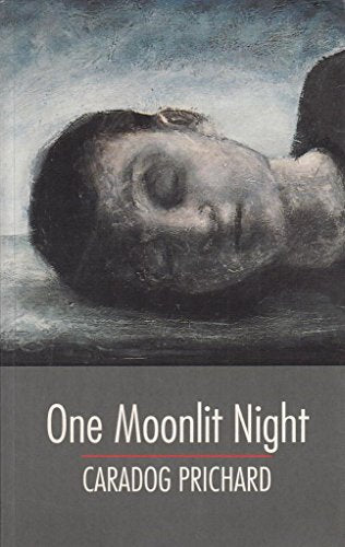 One Moonlit Night