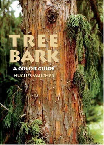 Tree Bark: A Colour Guide