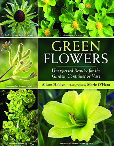 Green Flowers Unexpected Beauty for the Garden, Container & Vase
