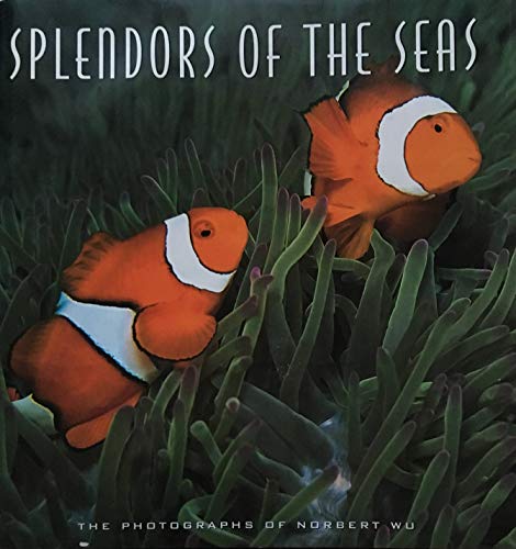 Splendors of the Seas