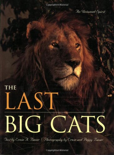 The Last Big Cats: An Untamed Spirit